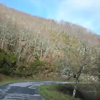 DSCN7736