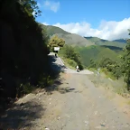 DSCN3584
