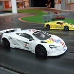 DSCN5854