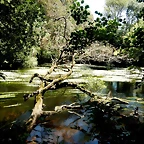DSCN2897