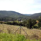 DSCN1882