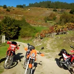 DSCN4624