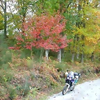 DSCN5809
