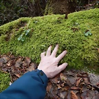 DSCN0127