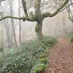 025-IMG_4021