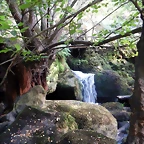 DSCN8435