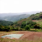 DSCN6502