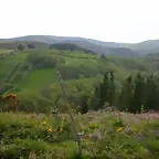 reglaje 045