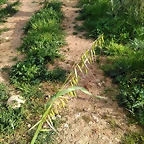 IMG_20170329_175940