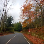 DSCN2983