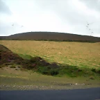 DSCN8426