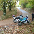 DSCN5955