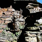 DSCN7954
