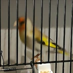 IMG_20170122_130505