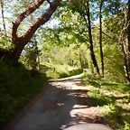 DSCN0086
