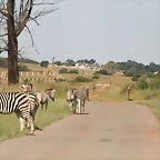 Rietvlei Nature Reserve 7-02-09 316