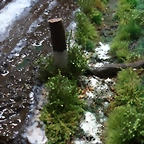 PHOTO 01