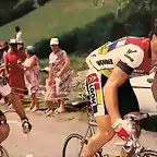 Perico-Tour1986-Pau-Hinault12