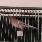 m1