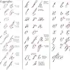 Copperplate copia