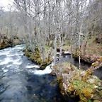 DSCN3965