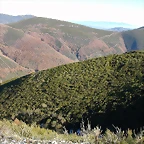 DSCN6842