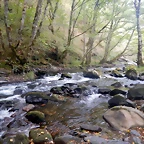 DSCN7983