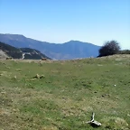 20150307_152704
