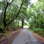 DSCN3566