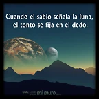 cuando el sabio apunta a la luna