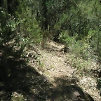 PICT0066