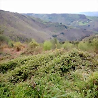 DSCN4341