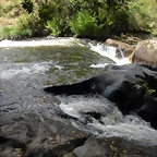 DSCN2836