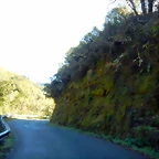 DSCN0135