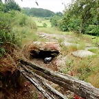 DSCN7458