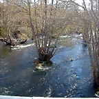 DSCN6445