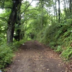 DSCN4766