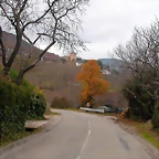 DSCN9716
