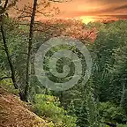 sunset-two-rivers-trail-algonquin-park-canada-26190930