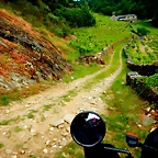 DSCN5242