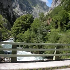 DSCN8238
