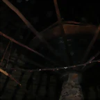 DSCN6763