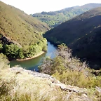 DSCN4701