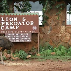 Rhino & Lion Nature Reserve 329