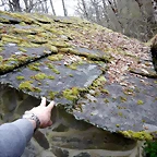 DSCN3969