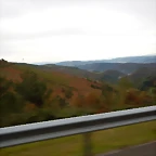 DSCN8367