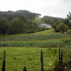DSCN8355