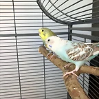 IMG-20180715-WA0018