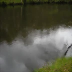 DSCN4158