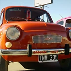 IMAG0317